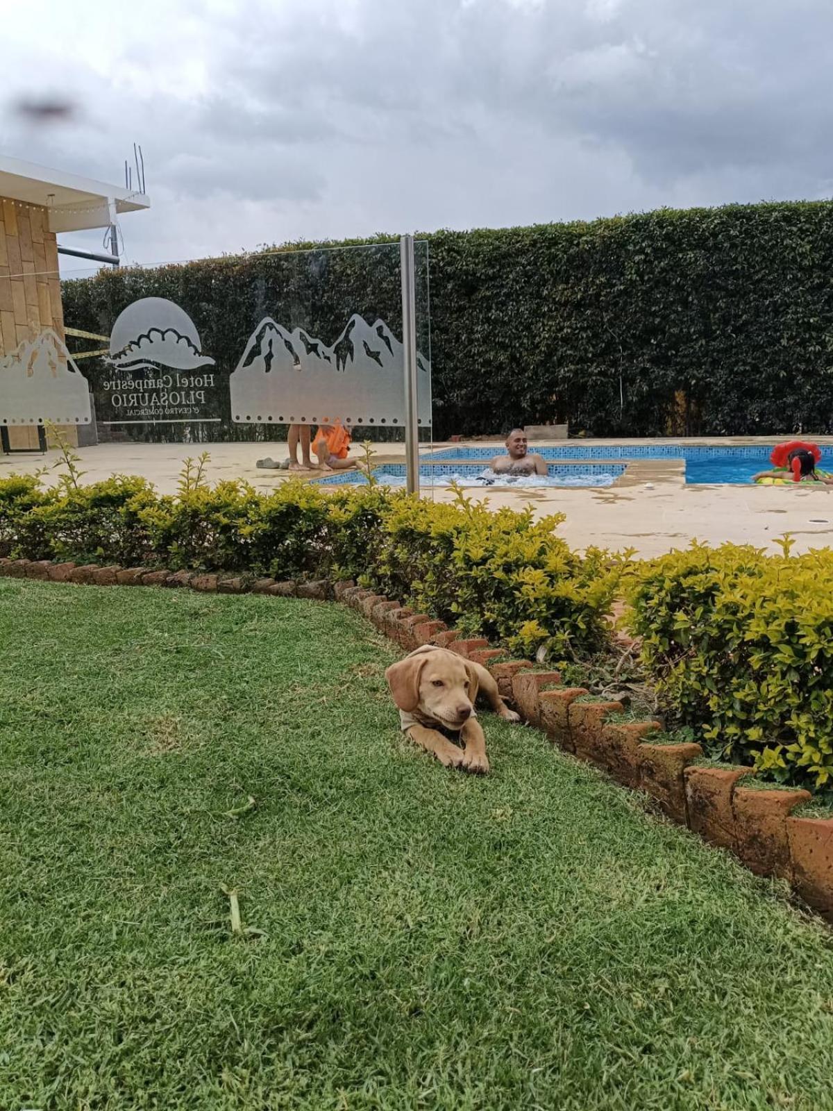 Hotel Pliosaurio Campestre Villa de Leyva Zewnętrze zdjęcie